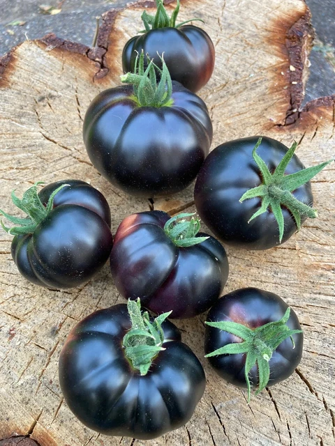 Semi Pomodoro San Marzano 50 Semi Pomodoro Gigante Heirloom - Mostro Gigante | Per Orto E Giardino Semi Pomodoro Belmonte - Foto 10