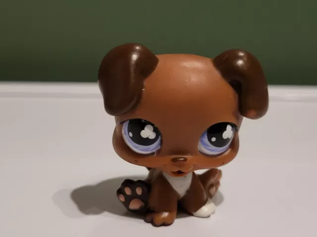 Lps #657 Littlest Petshop Original Authentique Baby Chiot Puppy Dog Chien Hasbro