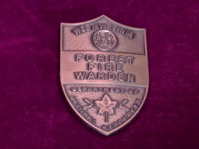 Vintage Obsolete West Virginia Forest Fire Warden Badge