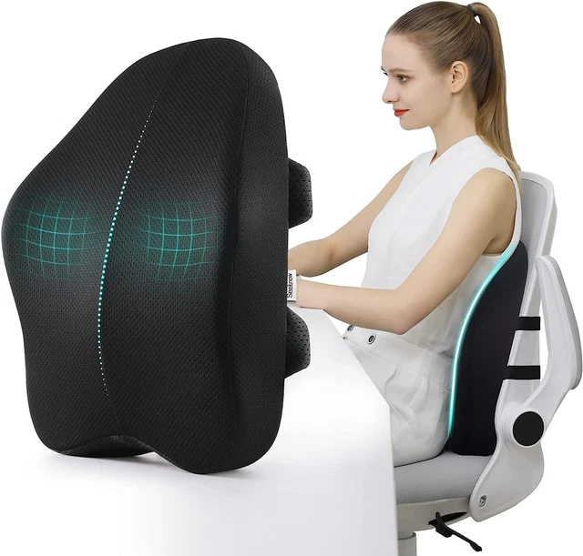 Lumbar Support Pillow Office Chair, Car Seat Back Pain Rest Ergonomic Cushion