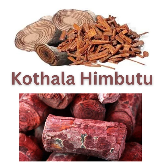 Kothala Machine KOTHALA HIMBUTU PIECES (Salacia Reticulata) Ceylon Ayurvedic, Herbal ...