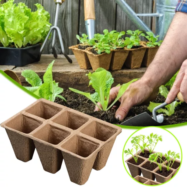 Peat Pots Trays Trays Pots Germination Degradable Cells 6 Seed Seedling Patio &