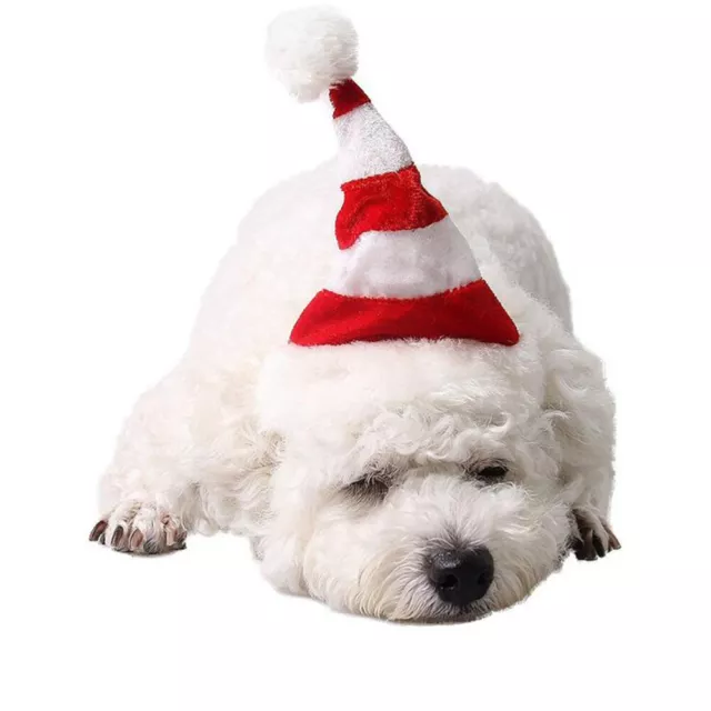 Christmas Pet Costume Cute Cat Accessories Puppy The Dog Santa Claus Hat