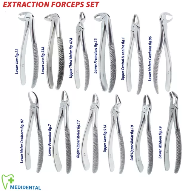 Surgical Dental Extraction Forceps For Tooth Extract Lower, Upper Roots Anterior