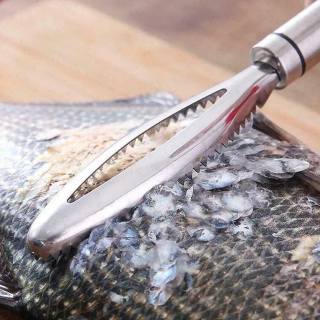 24CM FISH SCALE Remover Scaler Scraper Cleaner Kitchen Gadgets Lot R3 ...