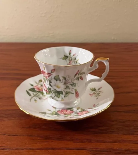 Vintage Queen's China Staffordshire Fine Bone Cup and Saucer Gold Trim Floral