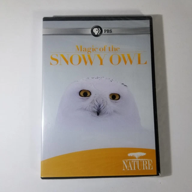 その他 Nature: Magic of the Snowy Owl [DVD] [Import] Nature: Magic of the Snowy Owl [DVD] [Region 1] [US Import