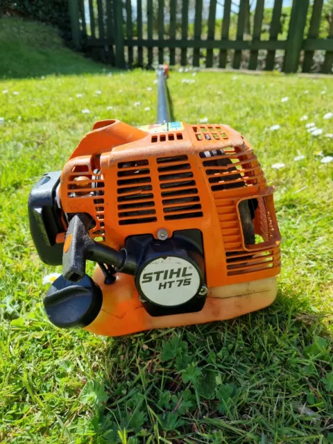 Stihl Pole Saw