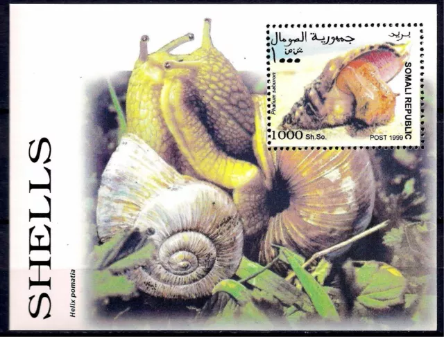 Somalia 1999 Shells Nature Marine Snails Seashells m/s MNH
