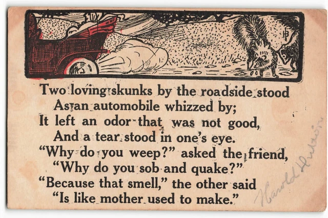 Postcard 1907 Two loving skunks by the roadside VTG VPC02.