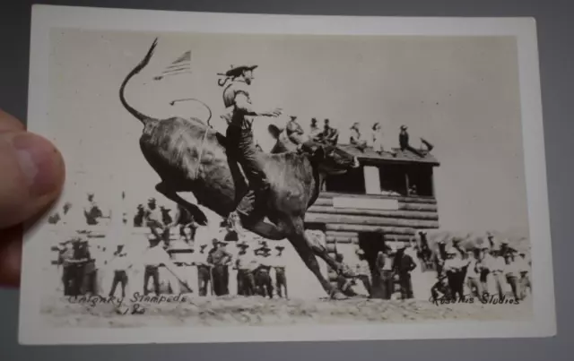 vintage  CALGARY STAMPEDE RODEO CALGARY ALBERTA POSTCARD rppc bull steer riding