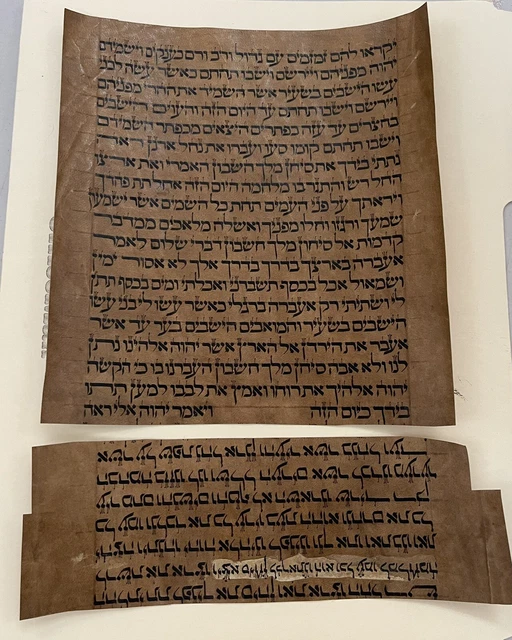 Torah Bible Vellum Manuscript Scroll Fragment