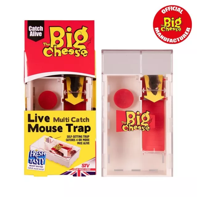 The Big Cheese Multi-Catch Mouse Trap Baited, Poison-Free, Ready to Use STV 162