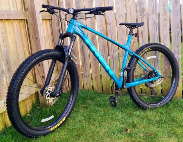 Trek roscoe xl 2025