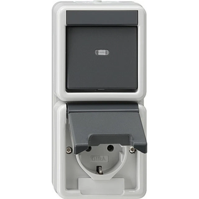 Gira Zones Humides Montage Apparent Interrupteur + Prise Combinaison Type 017630