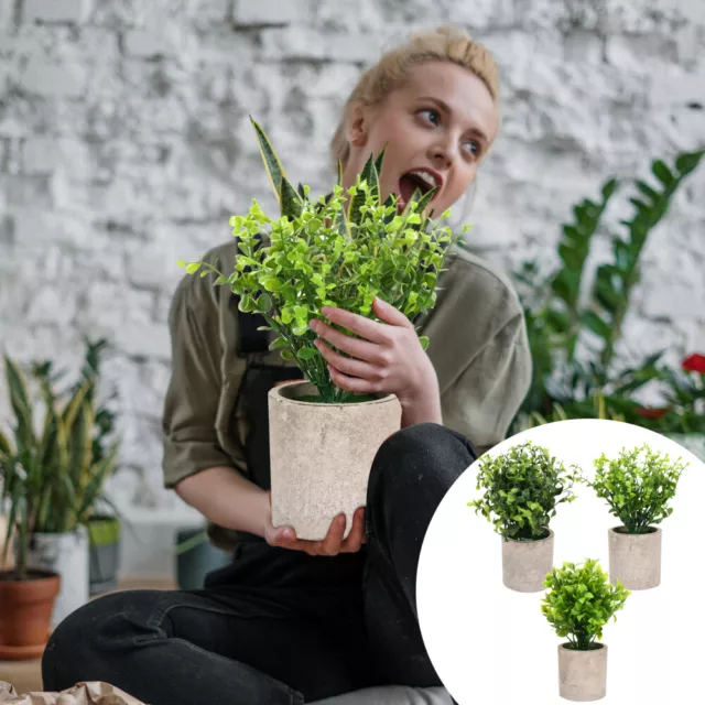 3 Pcs Simulierte Topfpflanze Plastikblume Zimmerpflanzen Drinnen Leben