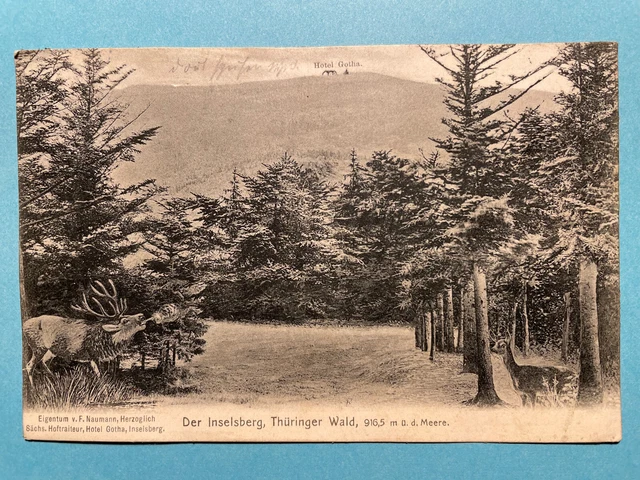 Alte AK von Der Inselsberg, Hotel Gotha, Schmalkalden-Meiningen, gelaufen 1909?