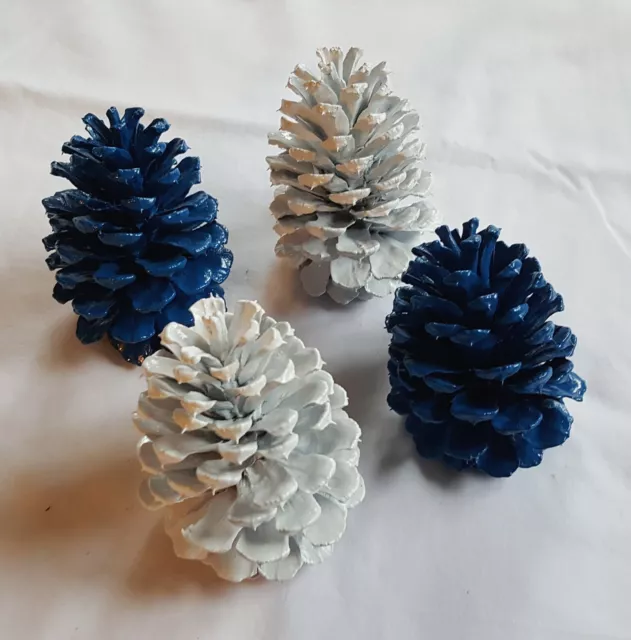 Lot of 4 Medium 3.5-4 inch White &  Blue Pine Cones for decoration crafts etc