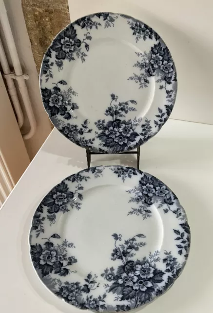 2 assiettes plates terre de fer St Amand Marie Louise fleurs bleues Collection