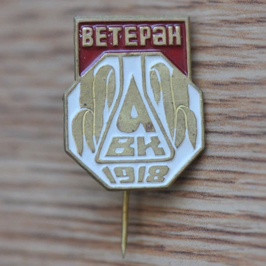 Labour Veteran Arkhangelsk Algae Plant Vintage USSR Soviet Russian Pin Badge