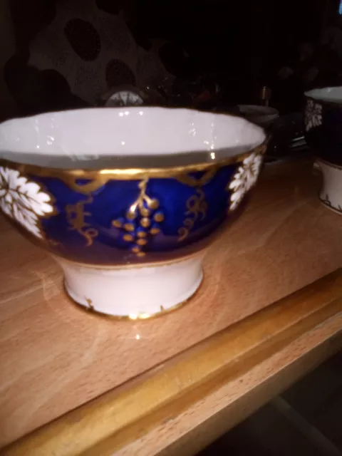 Royal Crown Derby - Vine Cobalt  'Floral' - Open Sugar Bowl