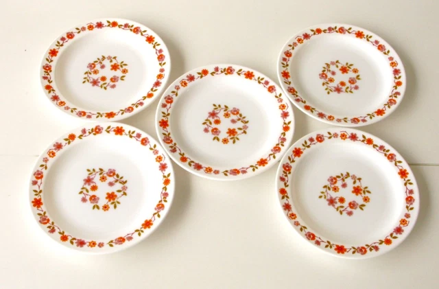 Lot De 5 Assiettes à Dessert Arcopal France - Décor Floral Opalescent, Vintage