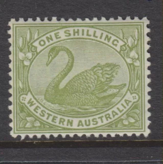 1898 - 1907- Western Australia- 1/- Olive Green Swan Mint -P.14 - Sg116 - W729