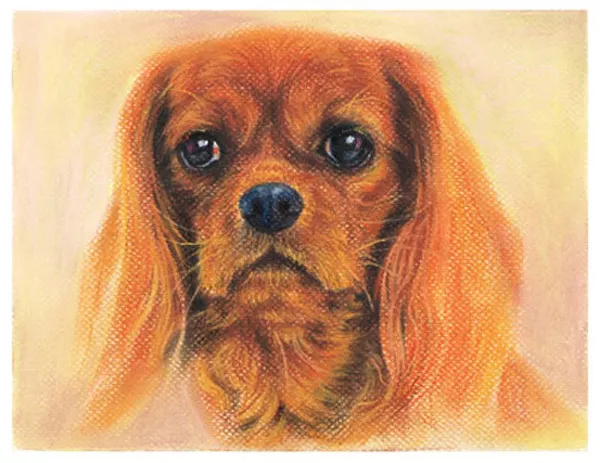 artav Cavalier King Charles Spaniel 21 Art Print