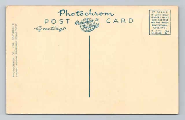 1930s Richmond Road Twickenham Vintage Sepia Postcard 2