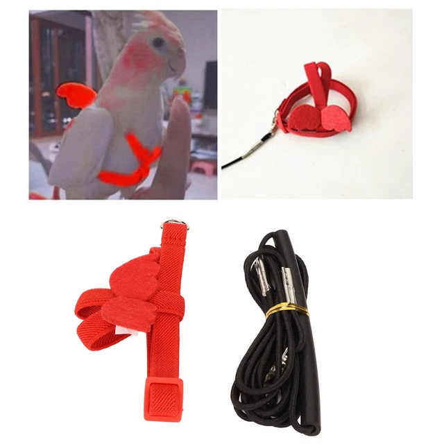 (Red)Harness Leash Multipurpose Pet Bird Harness Leash Easy To Wear Lightweight