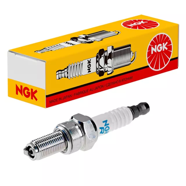 NGK CR8EB (7784) Zündkerze spark plug NEU OVP