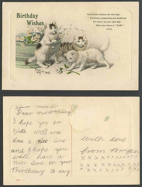Katzen Kätzchen, Blumen, Geburtstagswünsche Kunst Künstler handgezeichnet handgefärbt alte Postkarte
