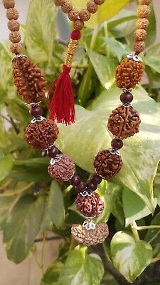 Rudraksha Rudraksh 1 2 3 4 5 6 7 Ganesh Mukhi Beads Necklace 108+1 Bead Mala~Lab