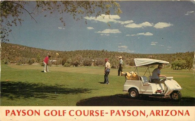 Golf Course Country Club Payson Arizona Postcard Mead 20-11900