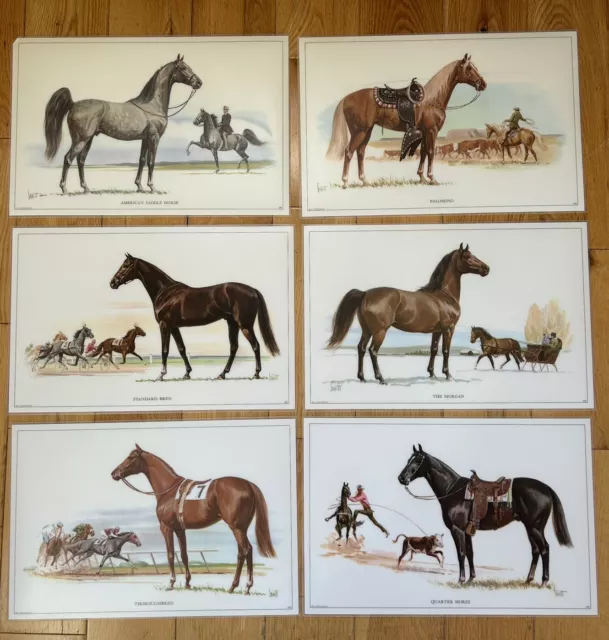 1964 RARE Sam Savitt Placemat Morgan Quarter Horse Thoroughbred American Hedwin