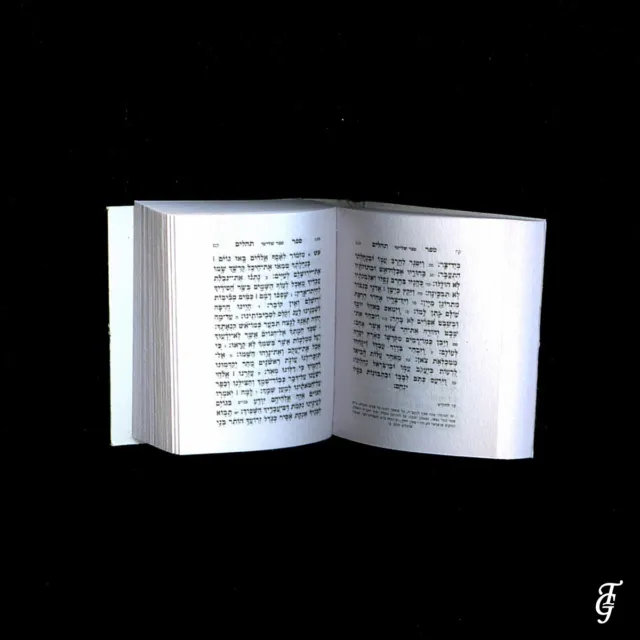 ~ ~  Judaica Psalms / Tehilim /Real Holy Book Miniature Gold & Silver Set/ Tor D 2