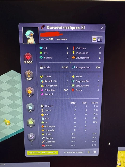 3 Comptes Dofus Hell Mina - Team Koli 3v3 - PC