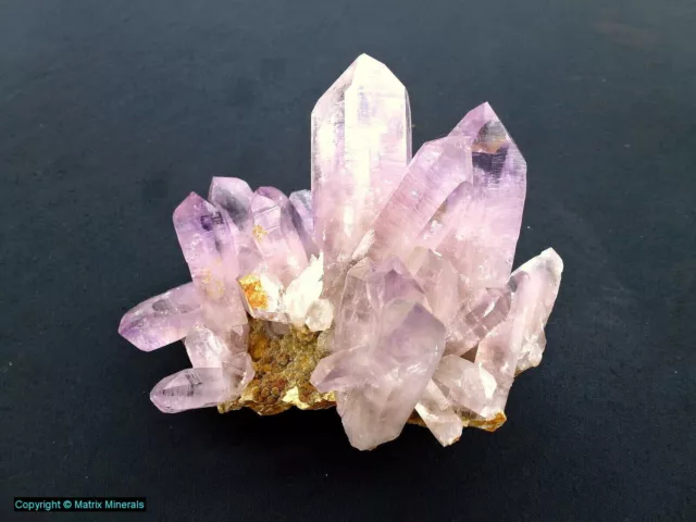 Amethyst von Las Vigas, Veracruz Mexiko #1