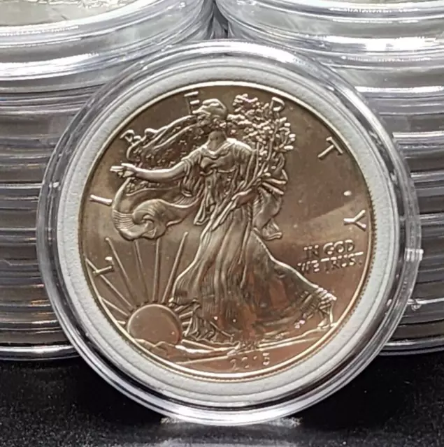 2013 United States 1 Dollar Silver Eagle 1 oz  .999 Silver Coin - UNC