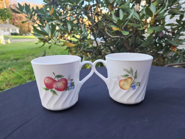 2 Corelle Coordinates By Corning Chutney Pattern Fruit coffee Tea Cups Mugs EC