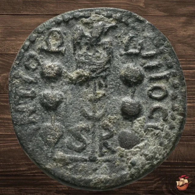 Roman Provincial coin - Pisidia Antioch - Gordian III (238-244 AD) #1353