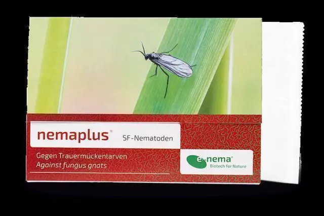 Nemaplus SF Nematoden gegen Trauermücken 6 Mio.