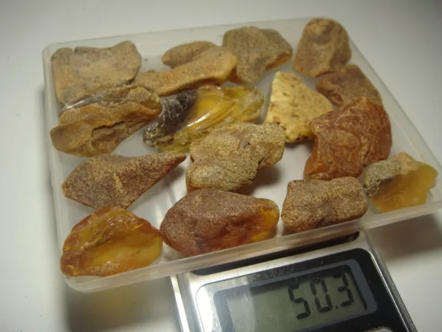 AMBER / raw baltic stones bernstein natural bursztyn baltycki genuine 琥珀 (e620