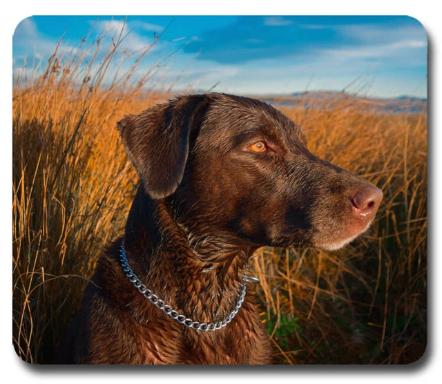 Chesapeake Bay Retriever Dog ~ Mouse Pad / PC Mousepad ~ Hunter Home Office Gift