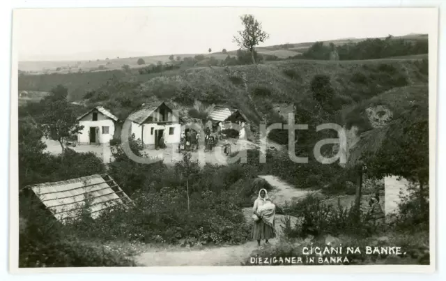 1930 ca BANKA (SLOVAKIA) Ziganer - Gypsies (2) Photo postcard RPPC 13x8 cm