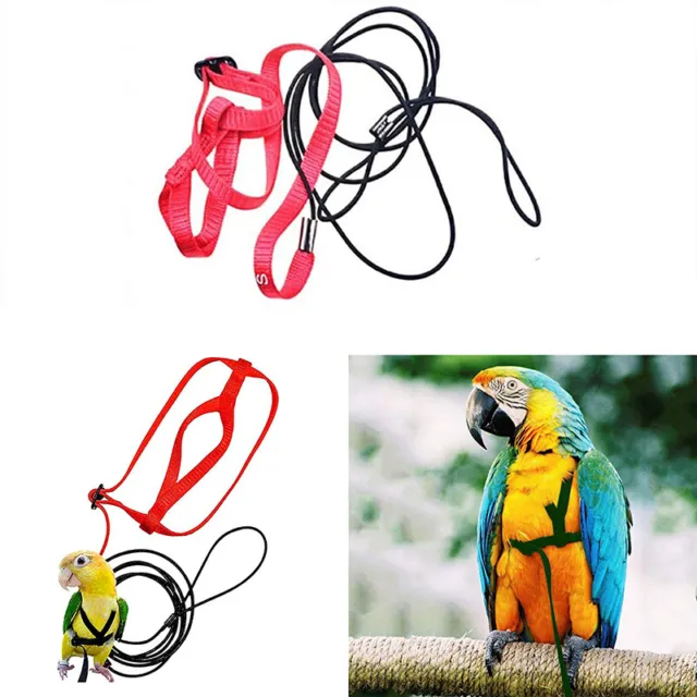 Bird Harness Adjustable Parrot Leash Bird Rope Anti Bite for All Kinds of Pa*_*