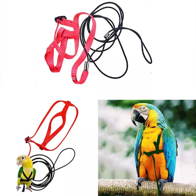 Bird Imbracatura Regolabile Pappagallo Guinzaglio Corda Anti Morso per Tutti i Tipi di Pa*t~