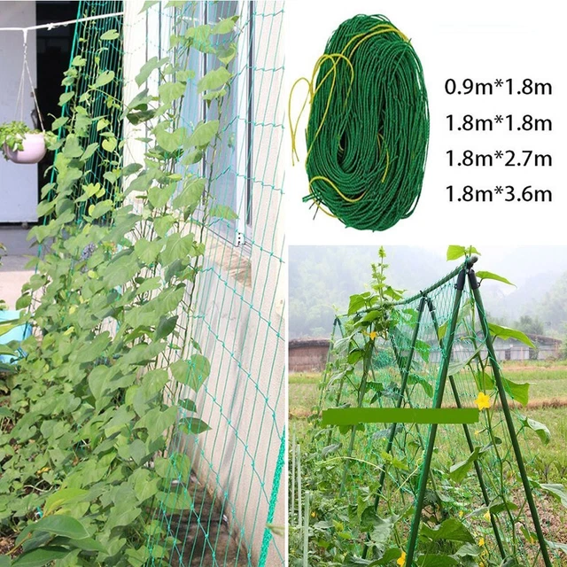 Filet d'escalade commodément utilisable pour jardins de légumes et de fruits