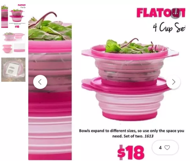 https://www.picclickimg.com/~G0AAOSw4bllaMBD/Tupperware-Flat-Out-Pink-Bowls-Set-of-2.webp