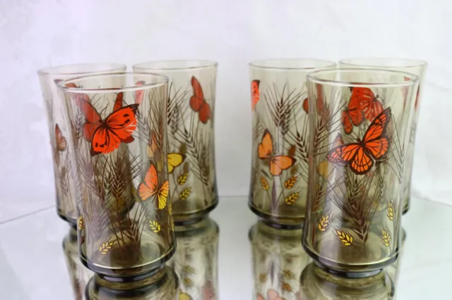 6 Libbey Brown Orange Monarch Butterfly Tawny Garden Party 5 " Glass Tumblers